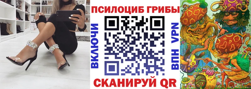 Купить  Пятигорск  Псилоцибиновые грибы прущие грибы 